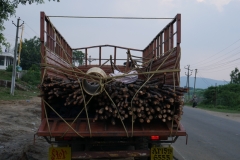 P1030599