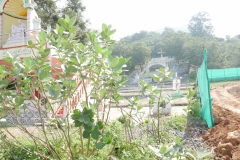 P1030823