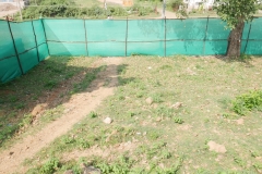 P1040005